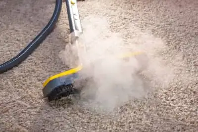 Carpet Steam Cleaning